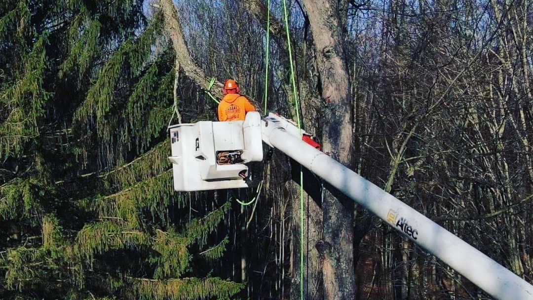 Brawner's Tree Service — photo