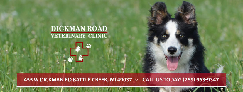 Dickman Road Veterinary Clinic — photo