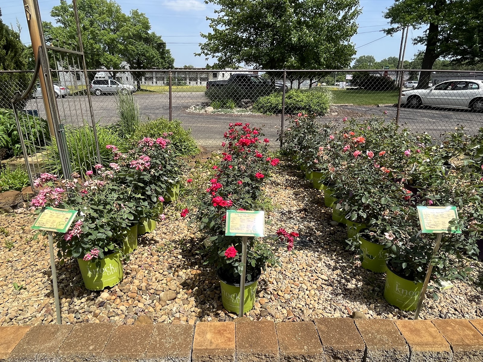 Greenscape Services — photo
