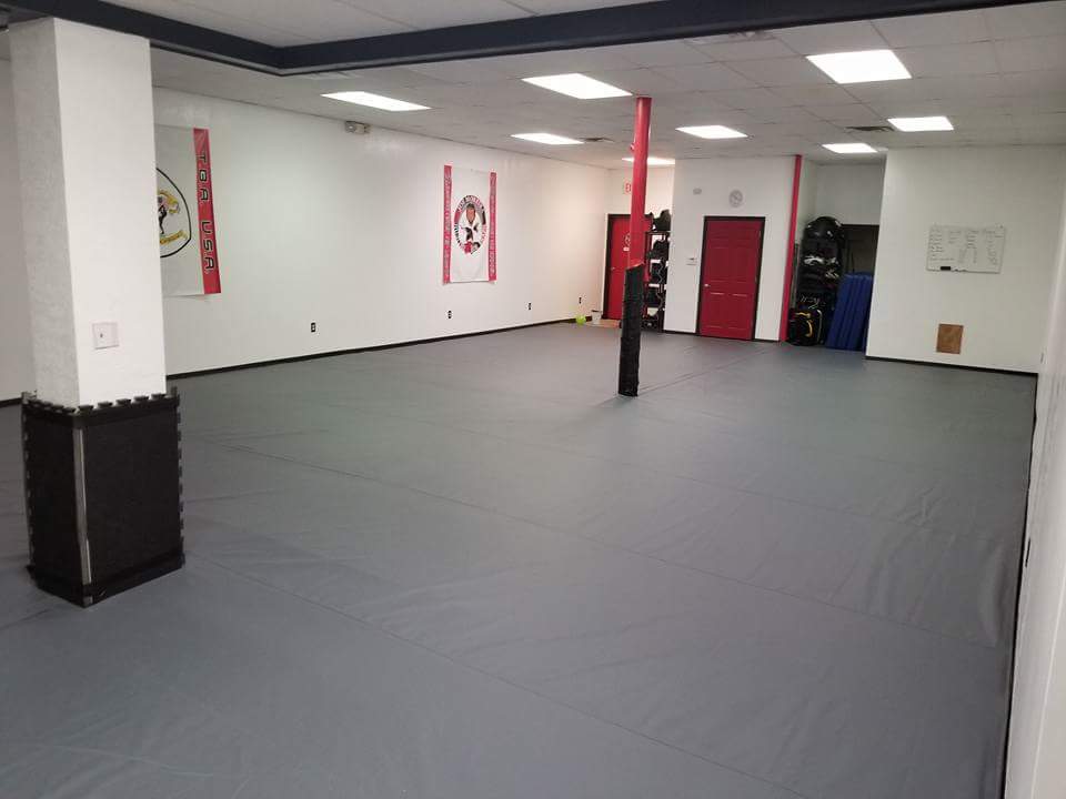 Mushin Academy of Martial Arts | Battle Creek — photo