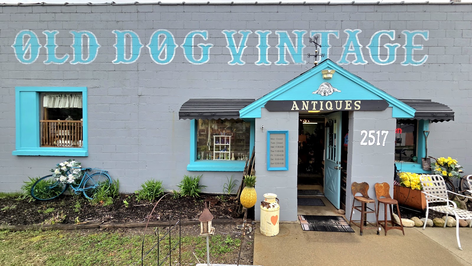 Old Dog Vintage — photo