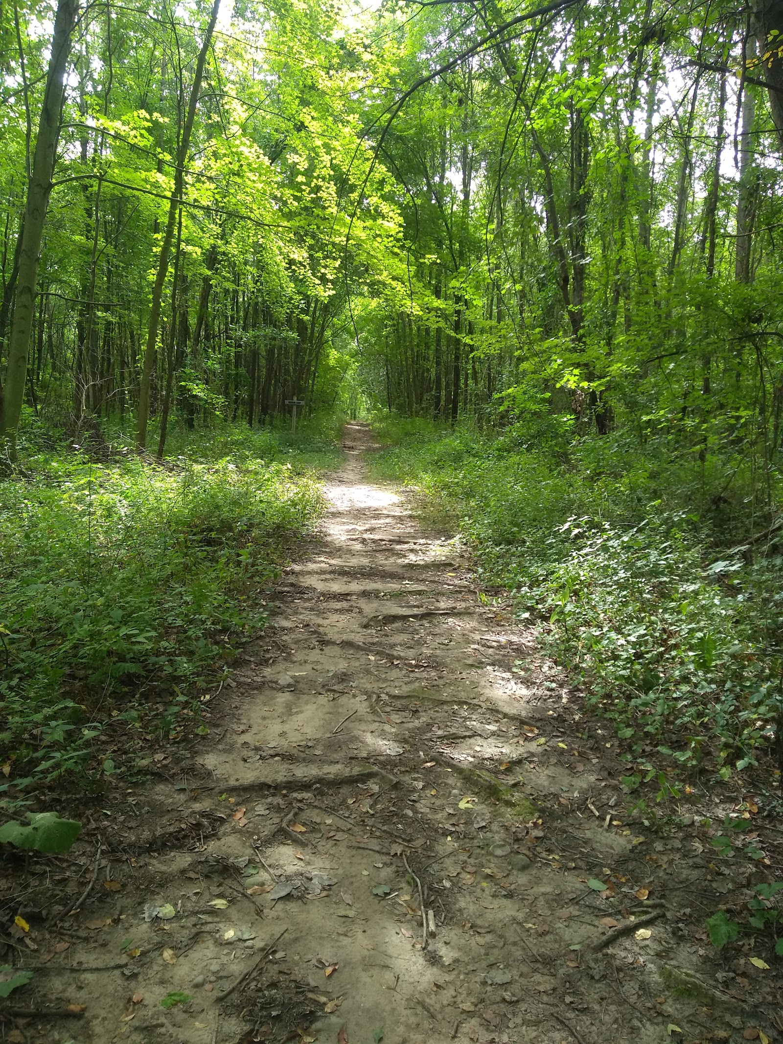 Woodland Park Gethings Road Entrance