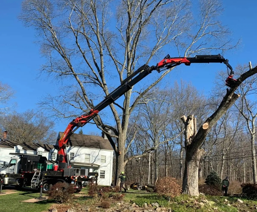 Woody's Tree Service in Battle Creek